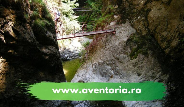 ture montante aventoria