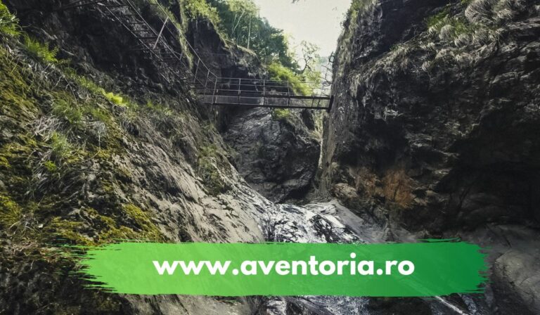 ture montante aventoria