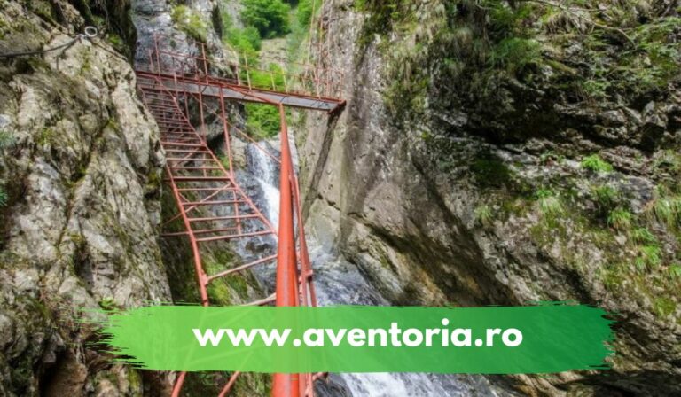 ture montante aventoria