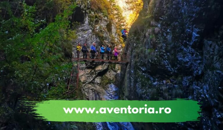 ture montante aventoria